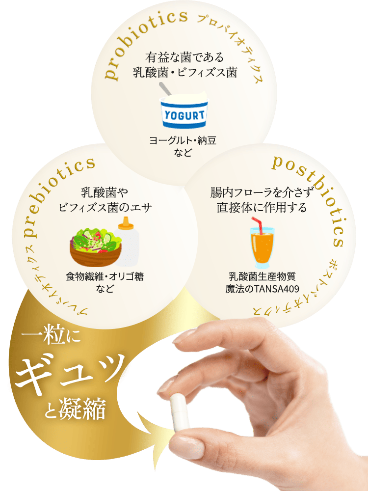 有益な菌である乳酸菌・ビフィズス菌。腸内フローラを介さず直接体に作業する。乳酸菌やビフィズス菌のエサ。